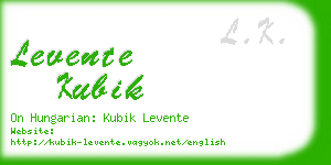 levente kubik business card